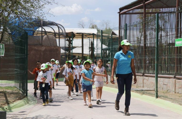 Invita Gobierno Municipal a vivir la Navidad en el Zoológico