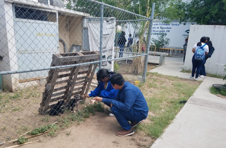 Crearán club de adopción de mascotas en el Conalep de Nuevo Laredo