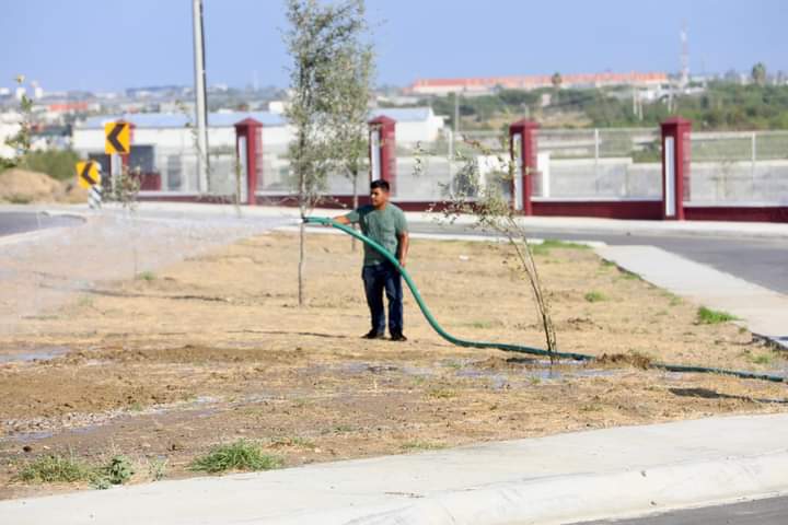 Inicia Gobierno Municipal forestación en Nueva Prepa UAT