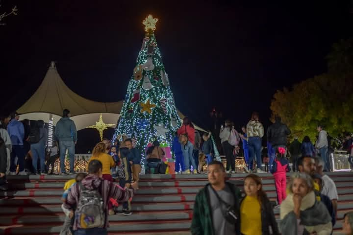 Ilumina pino navideño corazones de asistentes al Parque Tamatán